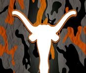 pic for Best Texas Longhorn 